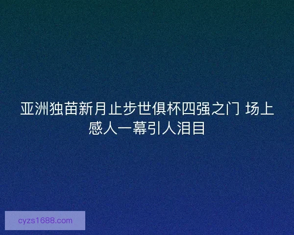 亚洲独苗新月止步世俱杯四强之门 场上感人一幕引人泪目