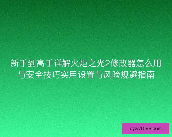新手到高手详解火炬之光2修改器怎么用与安全技巧实用设置与风险规避指南